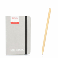 Notebook Pocket Grigio Righe