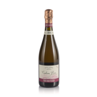 Vino rosato Alta Langa DOCG Contessa Rosa Brut