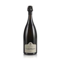 Franciacorta satèn vintage collection