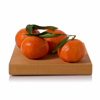 Clementine Foglia