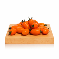 Pomodoro Datterino Arancione