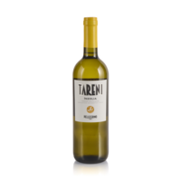 Vino bianco Terre Siciliane IGT Tareni