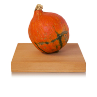Zucca di Hokkaido