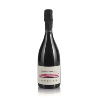 Lambrusco di Modena DOP brut