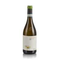 Langhe Arneis Margherite vino biologico langhe doc