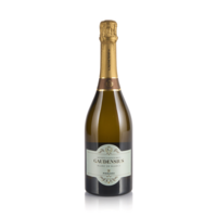 Metodo classico brut blanc de blancs