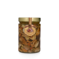 Misto Funghi con Porcini