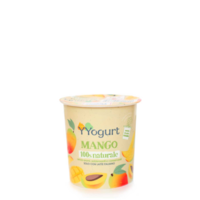 Yogurt al Mango