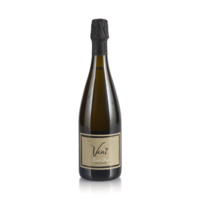Vino Trento DOC Millesimato Extra Brut