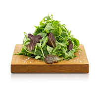 Insalata Frisee da Agricoltura Simbiotica