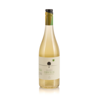 Vino bianco Obvius IGT