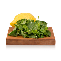 Menta