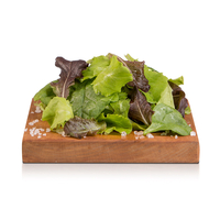 Insalata Misticanza
