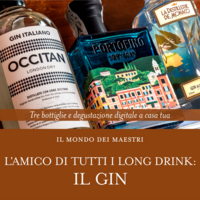 L'amico di tutti i long drink: il Gin - Il mondo dei maestri | Box fino a 8 persone