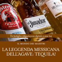 Il Mondo dei Maestri - La Leggenda messicana dell'Agave: Tequila!