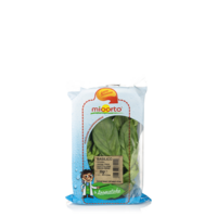 Basilico Mioorto