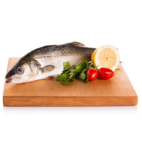 Branzino Allevato