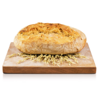Pane Rustic Bio