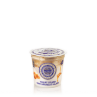 Yogurt colato al caramello salato