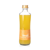 Vivace Aranciata Frizzante in Bottiglia di Vetro
