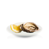 Ostriche Gillardeau Bixal