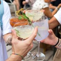 APERITIVO IN TERRAZZA CON ENGINE GIN