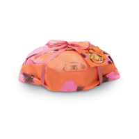 Colomba mit Schokolade und Aprikose, ohne kandierte Zitrusschalen