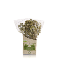 Origano biologico