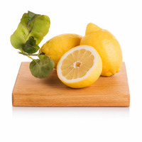 Limoni foglia top