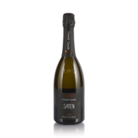 Franciacorta Brut Satèn 2020