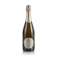 Vino bianco Franciacorta Satèn Brut DOCG