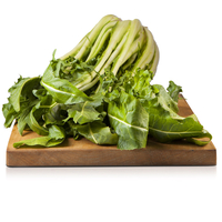 Puntarelle