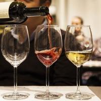 Scopri il Vino | Degustazione Guidata