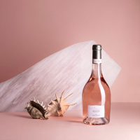 LA CENA DEGUSTAZIONE: VINI VULCANICI E COQUILLAGE
