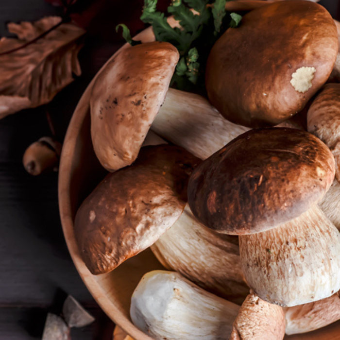 Cena calici & porcini