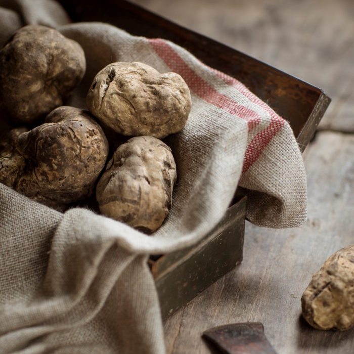 Cena Il tartufo e i suoi colori