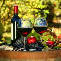 Rosso Relativo - corso di degustazione di vino