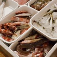 La grande asta del pesce di maggio
