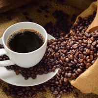 Il viaggio del caffè. Dalla pianta alla tazzina, degustazione guidata.