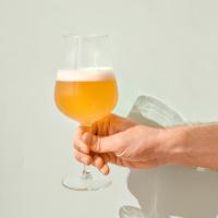 L'ARTE DI DEGUSTARE: LA BIRRA BIONDA