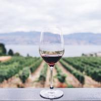 Calici senza frontiere - corso di degustazione