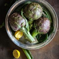 SUA MAESTA': IL CARCIOFO