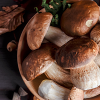 CENA CON I FUNGHI PORCINI DI BORGOTARO