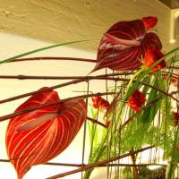 CENTROTAVOLA DI NATALE CON DAVID ZONTA | APERITIVI CREATIVI