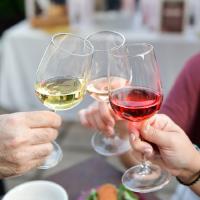 I VINI NATURALI E FERMENTATI - CON SLOW FOOD