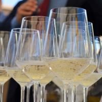 LE BOLLICINE ITALIANE: DEGUSTAZIONE