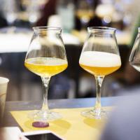 LA BIRRA ARTIGIANALE