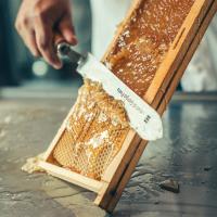 CONOSCIAMO IL MONDO DELLE API INSIEME A MIELE GARDIN