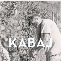 DEGUSTAZIONE VINI: CANTINA KABAJ