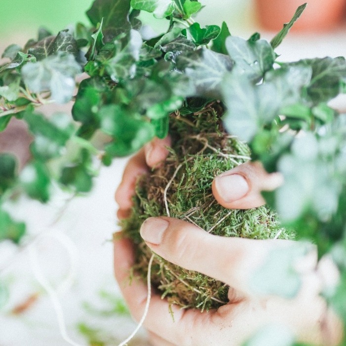 WORKSHOP | KOKEDAMA DI NATALE